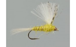 CDC Yellow Dun