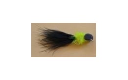 Black Cat Fritz Booby