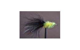 Black Cat Fritz Gladiator