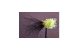 Black Cat Whisker Fritz Goldhead