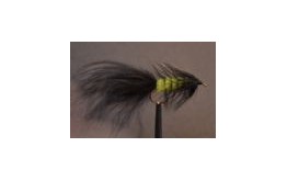 Black Woolly Bugger