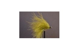 Cats Whisker All Olive