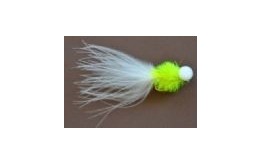 Cats Whisker Fritz Booby