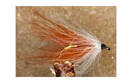 CDC Palmer Loch Ordie