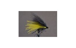 Cormorant Black & Yellow