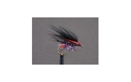 Cormorant Claret Straggle