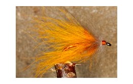 CDC Palmer Orange