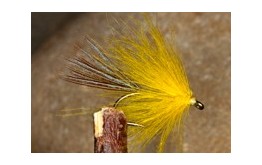 CDC Palmer Yellow
