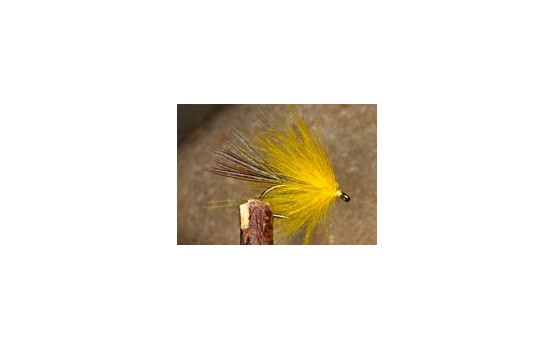 CDC Palmer Yellow