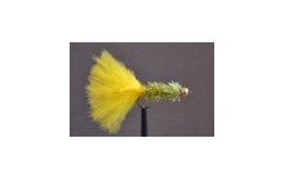 Dawsons Olive Fritz Goldhead