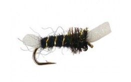 Chironomid Suspender Pupa