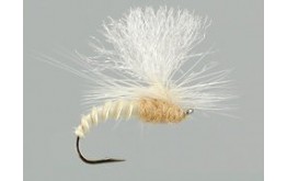 Christiaens GT Adult PMD