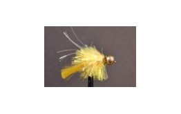 Goldhead Yellow Blob