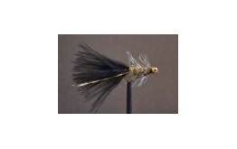 Humungus Black & Gold