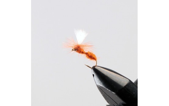 Ant Cinnamon Parachute