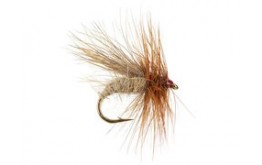 Cinnamon Caddis