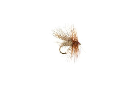 Cinnamon Caddis