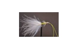 Kick Ass Damsel Cats Whisker