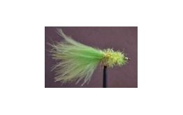 Lime Fritz Gladiator