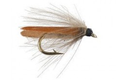Cinnamon Stocking Wimngs Caddis