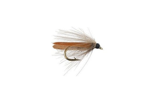 Cinnamon Stocking Wimngs Caddis