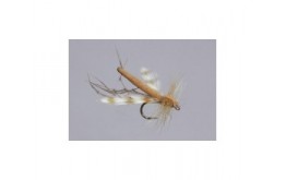 Cinnamon Variant Daddy Long Legs