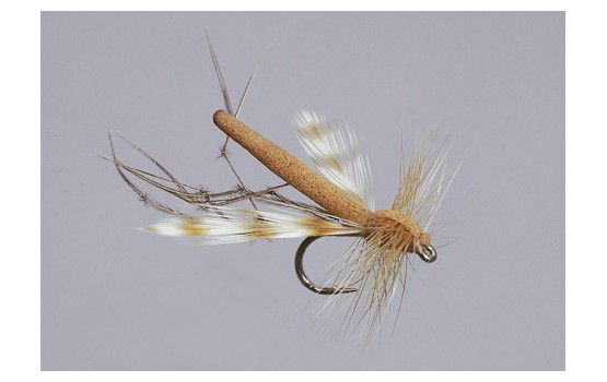 Cinnamon Variant Daddy Long Legs