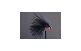 Mini Cats Whisker   Black & Orange