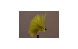 Mini Cats Whisker All Olive
