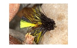 Clan MacLeod Muddler