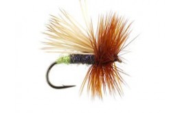 Arkansas River Egg Layer