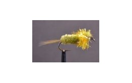 Montana Fritz Damselfly