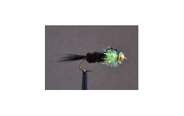 Montana Green Fritz Goldhead