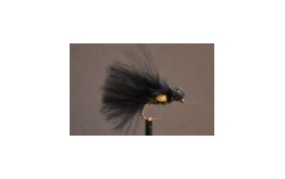 Neutral Density JC Cormorant Booby