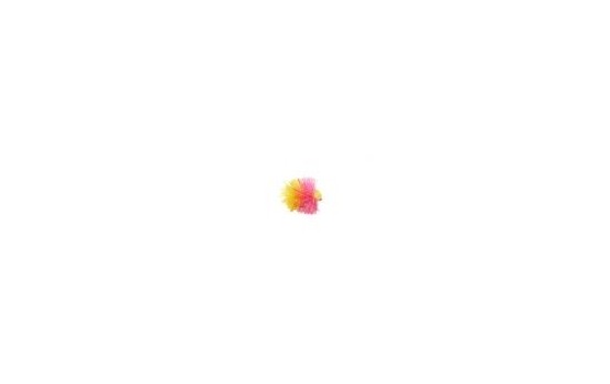 Neutral Density Sunburst & Pink Blob Booby