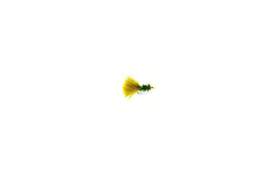 Nugget Cactus Fly Olive