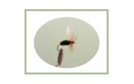 Coachman Dry Fly
