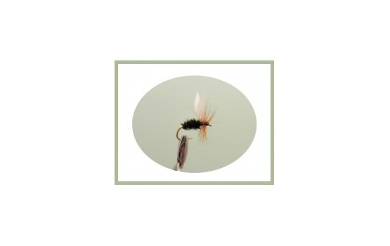 Coachman Dry Fly