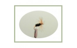 Coch y bonddu Dry Fly