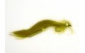 Olive Bunny Leech