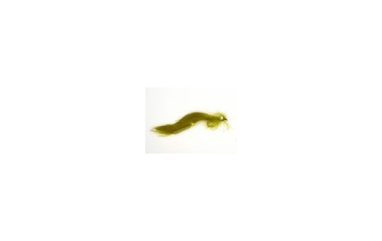 Olive Bunny Leech