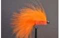 Orange Cats Whisker
