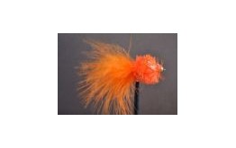 Orange Fritz Goldhead