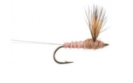 Comparadun Hendrickson