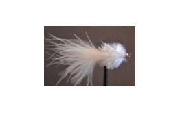 White Fritz Goldhead