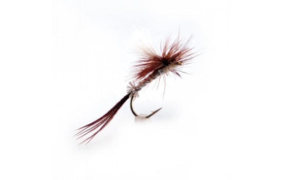 Ausable Parachute Hex