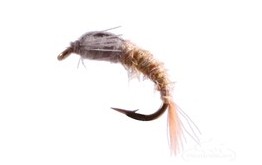 Barr Emerger Blue Wing Olive