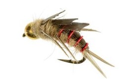 Bead Head Norfolk Special Brown