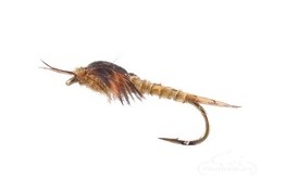 Biot Epoxy Stonefly Nymph Golden