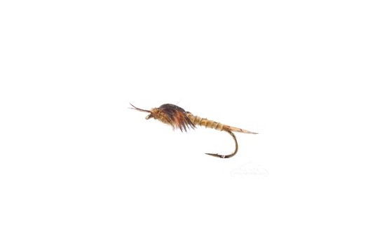 Biot Epoxy Stonefly Nymph Golden